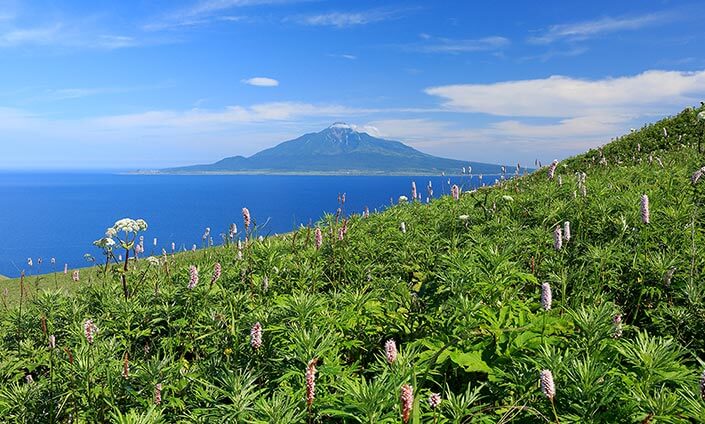 日本最北の島を巡る！利尻・礼文の歩き方 | GATE TO HOKKAIDO | 北海道