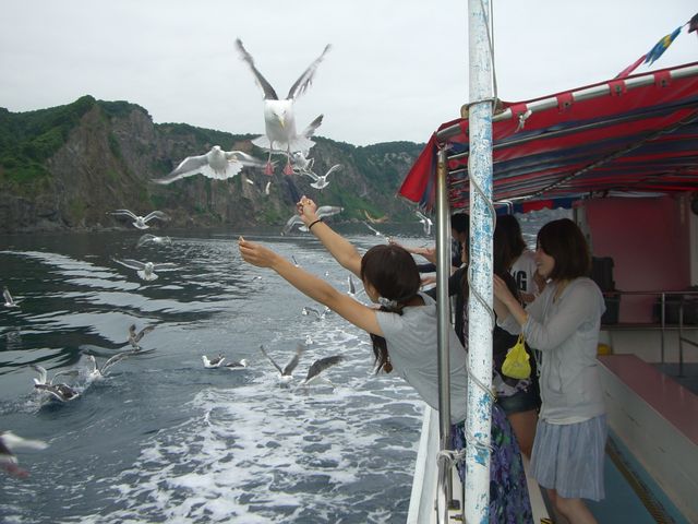 水中展望船 ニューしゃこたん号 Gate To Hokkaido 北海道 旅行 観光情報サイト