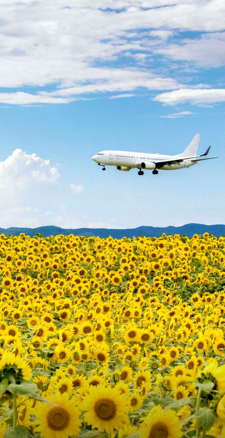 GATE TO HOKKAIDO | 北海道 旅行・観光情報サイト